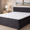 Sleepmate Premium Plush Divan Set