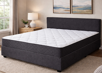 Sleepmate Premium Plush Divan Set